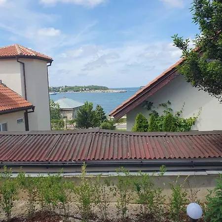 студия лилия