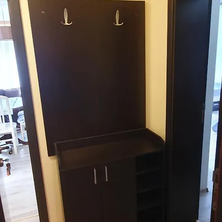 студия лилия צרבו