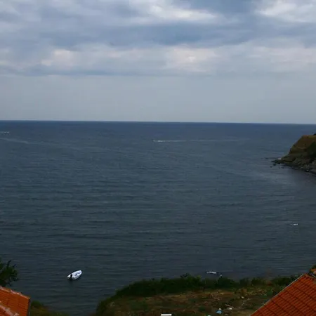 Guest house студия лилия