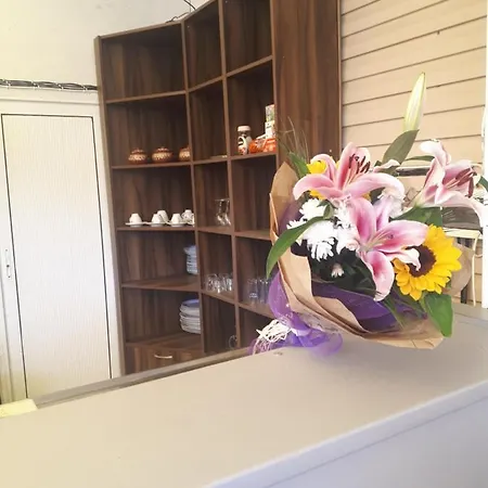 студия лилия Affittacamere