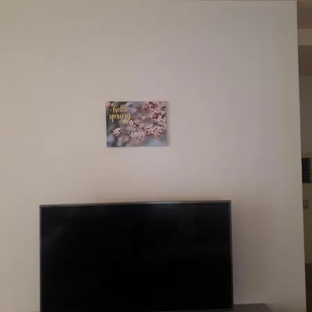 게스트하우스 студия лилия 사레보