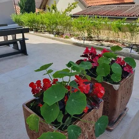 студия лилия 4* 茨雷沃