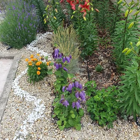 студия лилия 게스트하우스 사레보