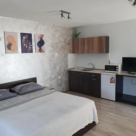 Guest house студия лилия