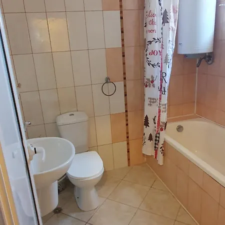 Guest house студия лилия *