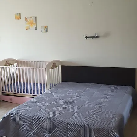 студия лилия *