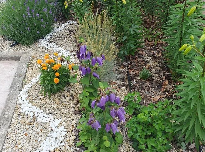 студия лилия Къща за гости Царево